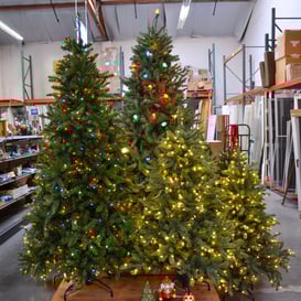 christmas trees
