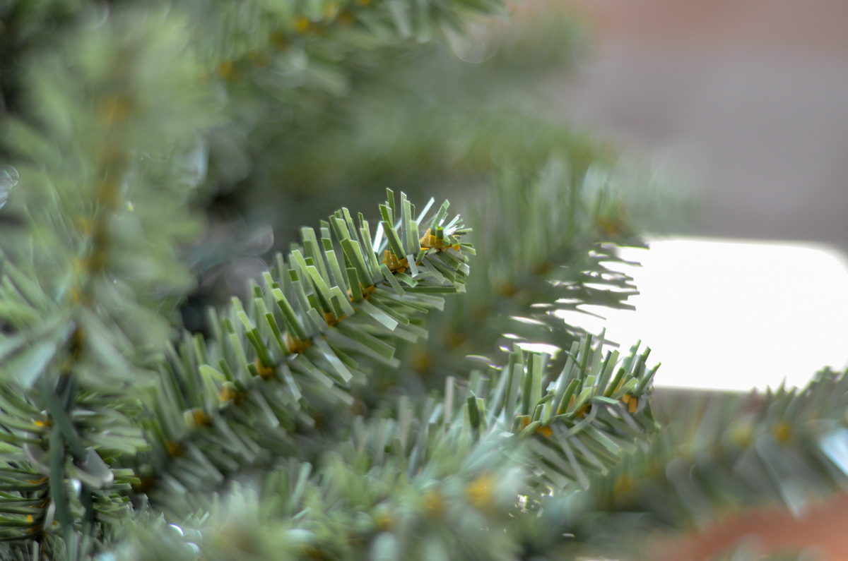 christmas trees