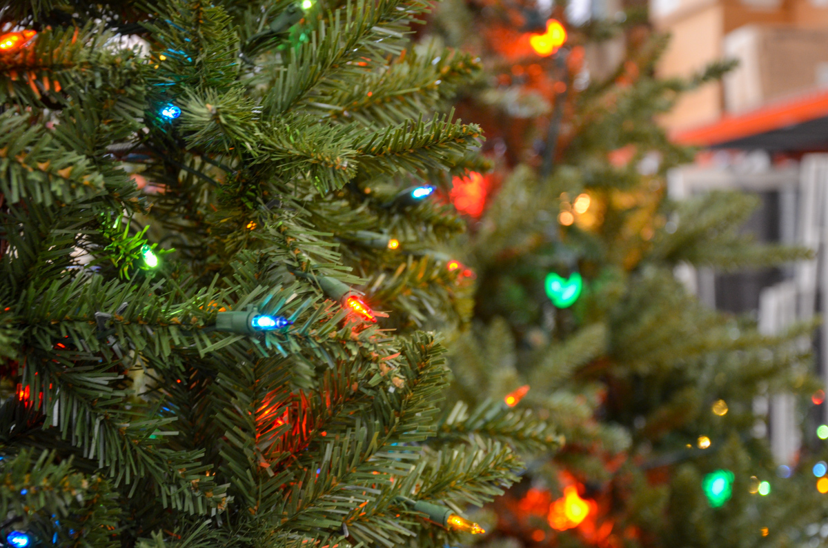 christmas trees